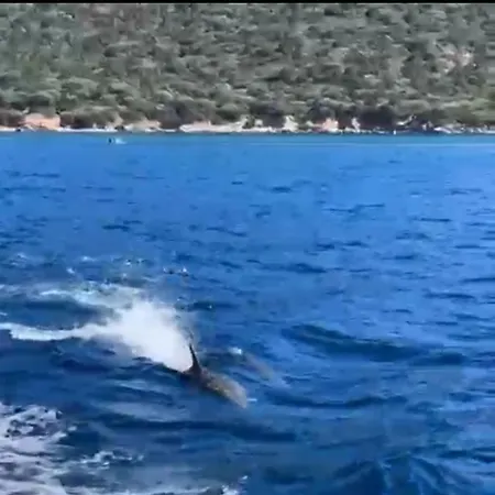 Casa Gaia Golfo Aranci